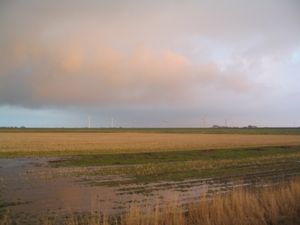 디트마르셴 북부의 습지