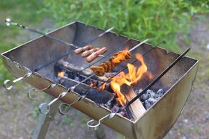 불을 통해 세균이나 기생충을 죽인다.