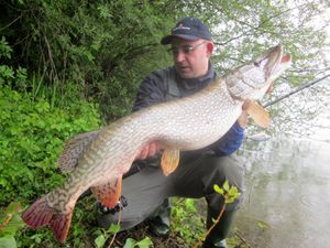 낚시꾼이 루어를 사용하여 잡은 강꼬치고기 (E. lucius), 크로아티아