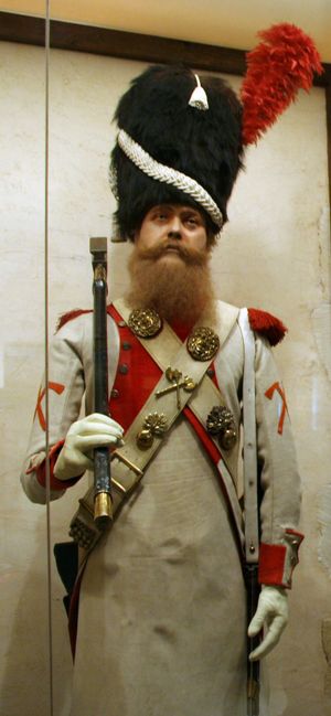 나폴레옹 전쟁 중의 프랑스 공병