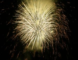 퍼시픽 팰리세이즈