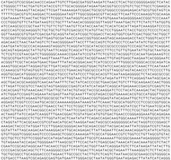 DNA 서열의 일부 - 바이러스의 완전한 게놈의 프로토타입화