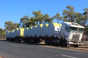 호주의 둥근 면화 모듈(2014)