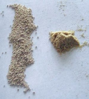 건조 포도주 양조 효모(왼쪽)와 효모 세포를 자극하기 위한 재수화 과정에 사용되는 효모 영양소