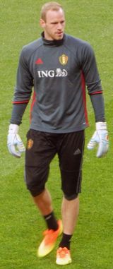 셀스, 2017년 벨기에 대표팀