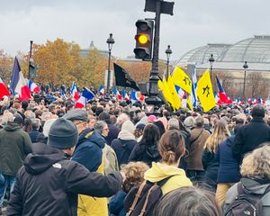 공화국과 반유대주의를 위한 행진 (11월 12일 파리)