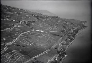 항공 사진 (1948)