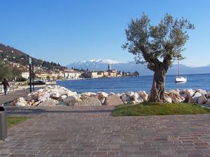 알프스를 배경으로 한 경치