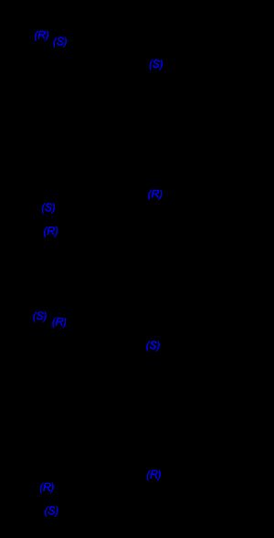 나도롤의 네 가지 입체 이성질체
