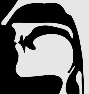 무성 양순 비음