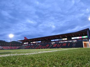 드래곤 솔라 파크