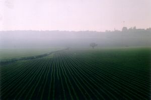 메기도 골짜기의 안개