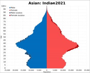 2021년 아시아계 또는 아시아계 영국인 인도인의 인구 피라미드(잉글랜드와 웨일스)