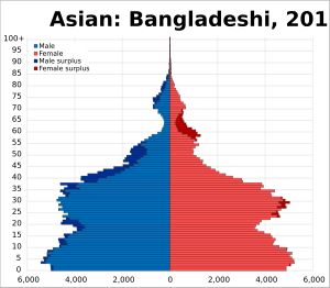 2011년 잉글랜드와 웨일스에 거주하는 방글라데시인 인구 피라미드