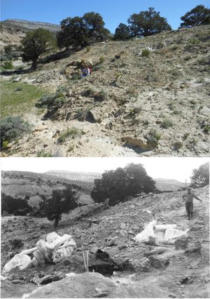 2013년 알라모사우루스 채석장과 1937년의 모습 비교, 노스 혼 층, 노스 혼 산