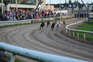 그레이하운드 트랙, 린, 멀린가