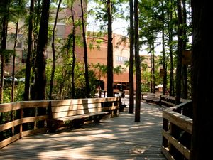 UCF 학생회관 뒤편 보드워크