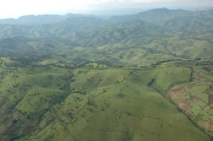 마시시의 삼림 파괴 지역