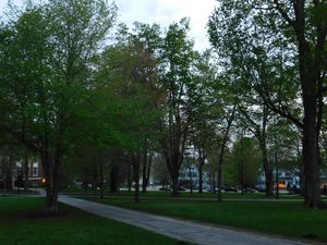 Bates는 질병 예방과 생태계 다양화를 위해 캠퍼스에 다양한 수종의 나무를 심고 있다.