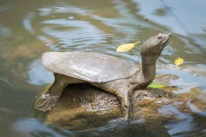 타이완에서 햇볕을 쬐는 모습