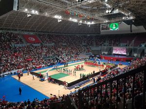 2017년 FIBA 아프로바스켓 결승전에서 튀니지와 나이지리아의 경기.