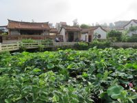 수이터우 황씨 유당 별업