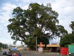 노장모녀수}}와 용복궁