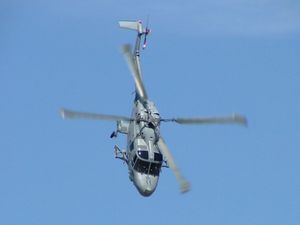 블랙 캣츠 (영국 해군) 전시팀의 링스 HAS.3