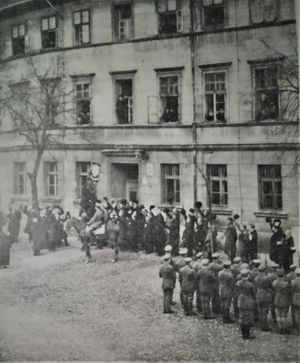 폴란드 반군이 1919년 1월 해방된 플레셰프 시청에 폴란드 국장을 설치하는 모습