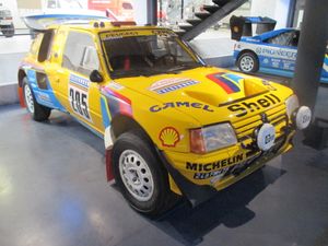 아리 바타넨의 다카르 랠리 트림 205 T16.