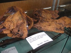 첫 두 편의 "혹성탈출" 영화에서 해리슨의 "노바" 의상 – 데비 레이놀즈 경매, 2011년 6월