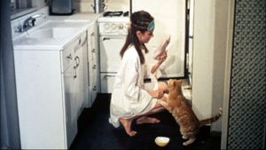 오렌지(Orangey)와 오드리 헵번은 1961년 영화 티파니에서 아침을 촬영 현장에 있었다.