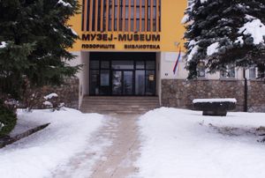 헤르체고비나 구 박물관