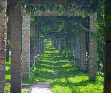 마투린 폭포 쇼핑몰의 꽃길