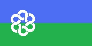 메트로 토론토의 기