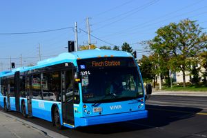 토론토 통근자를 연결하는 요크 지역의 영 스트리트 버스