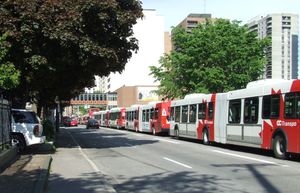 슬레이터 거리에서 버스 떼지어 운행.