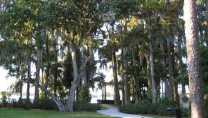 메이틀랜드 호수 옆에 위치한 크래프트 아잘레아 공원