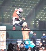 BUSHI의 미사일 킥 (스크류식)