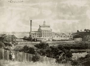 첼시 설탕 정제소(1885년 사진)는 비르켄헤드 발전에 기여했다.