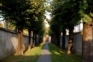 콜레지오 파피오 운동장