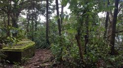 우툴레이 위에 있는 제2차 세계 대전 야영지의 잔해