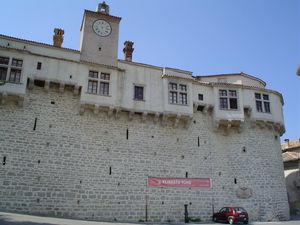 파진 성(Montecuccoli 성)