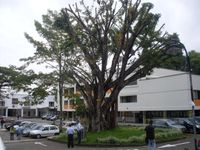 페레이라 기술대학교의 교육용 컴퓨터 자원 센터(CRIE).