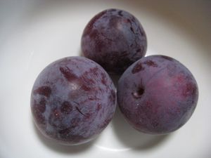 완숙된 자두 "솔담"