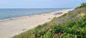 2023년 니다 해변과 모래 언덕