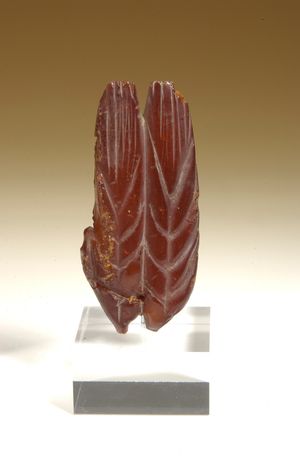 부적, 호박, 밀 이삭, 로마 시대 (서기 69-96년)