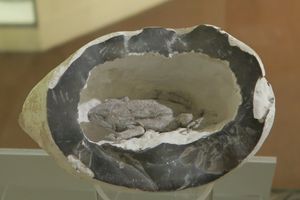 도슨이 루이스(Lewes) 채석장에서 노동자들에 의해 발견되었다고 주장한 구멍속의 두꺼비