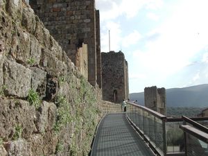 몬테리조니의 성곽