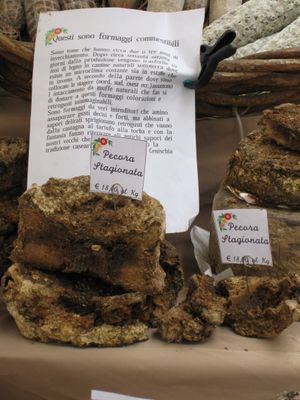 숙성된 사르데냐 페코리노 치즈. 사르데냐에서 생산되어 제노아에서 유통된다.